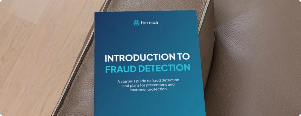 Introduction to Fraud Detection: Everything You Should Know